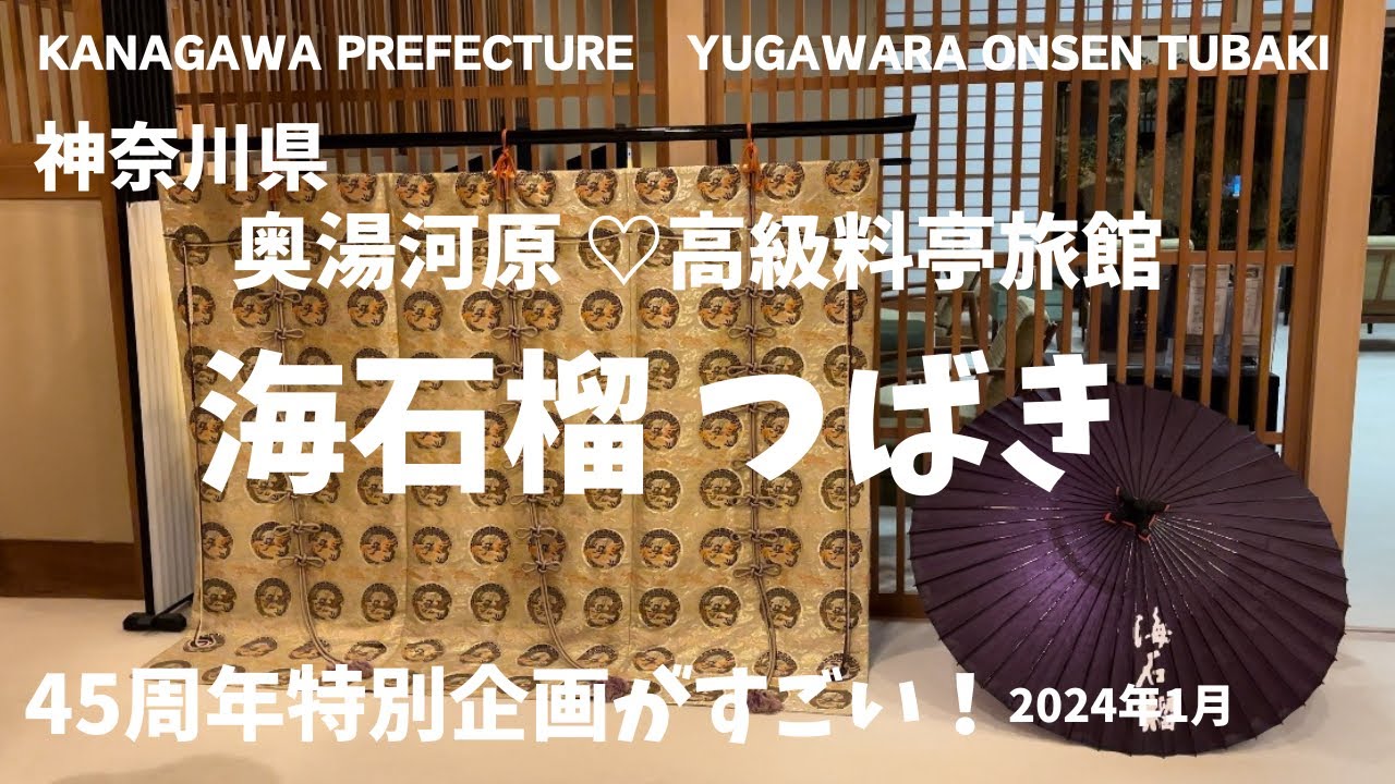 湯河原観光/湯河原温泉海石榴つばき旅館宿泊記/湯河原vlog/老舗旅館