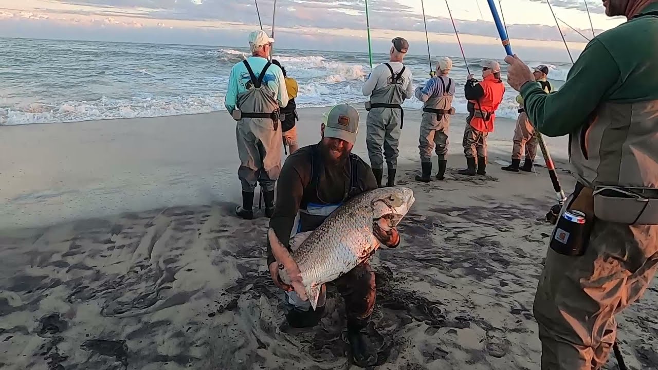 OBX Fishing 53 inch Drum Caught at Hatteras Island Cape Point November 14, 2021