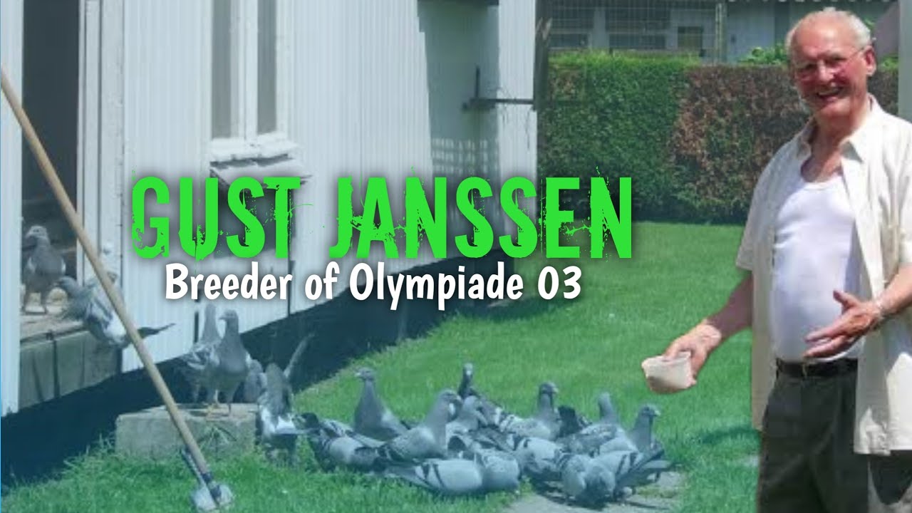GUST JANSSEN - The Breeder of Olympiad 003 of Leo Heremans