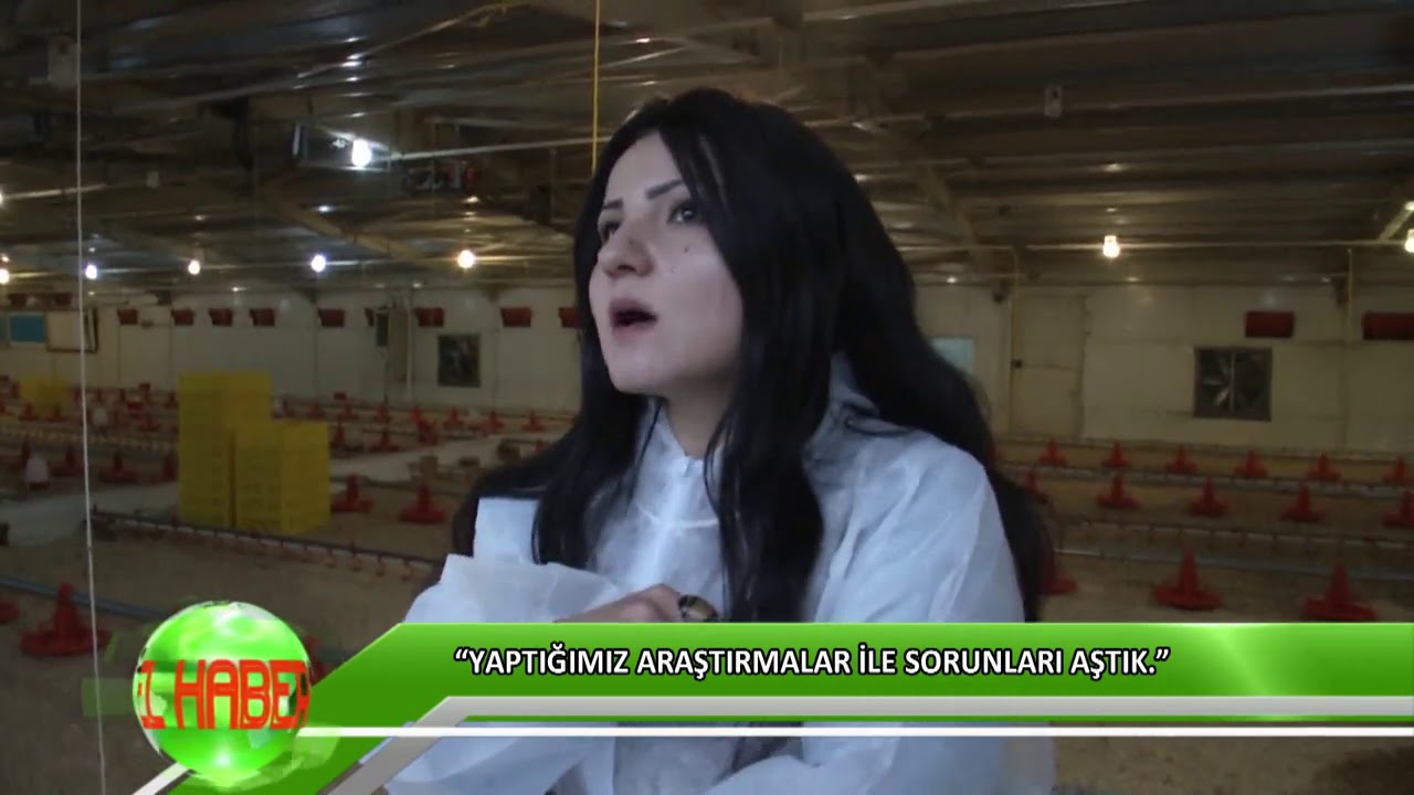Eski sigortacı kadın girişimci milyonluk tavuk tesisi kurdu