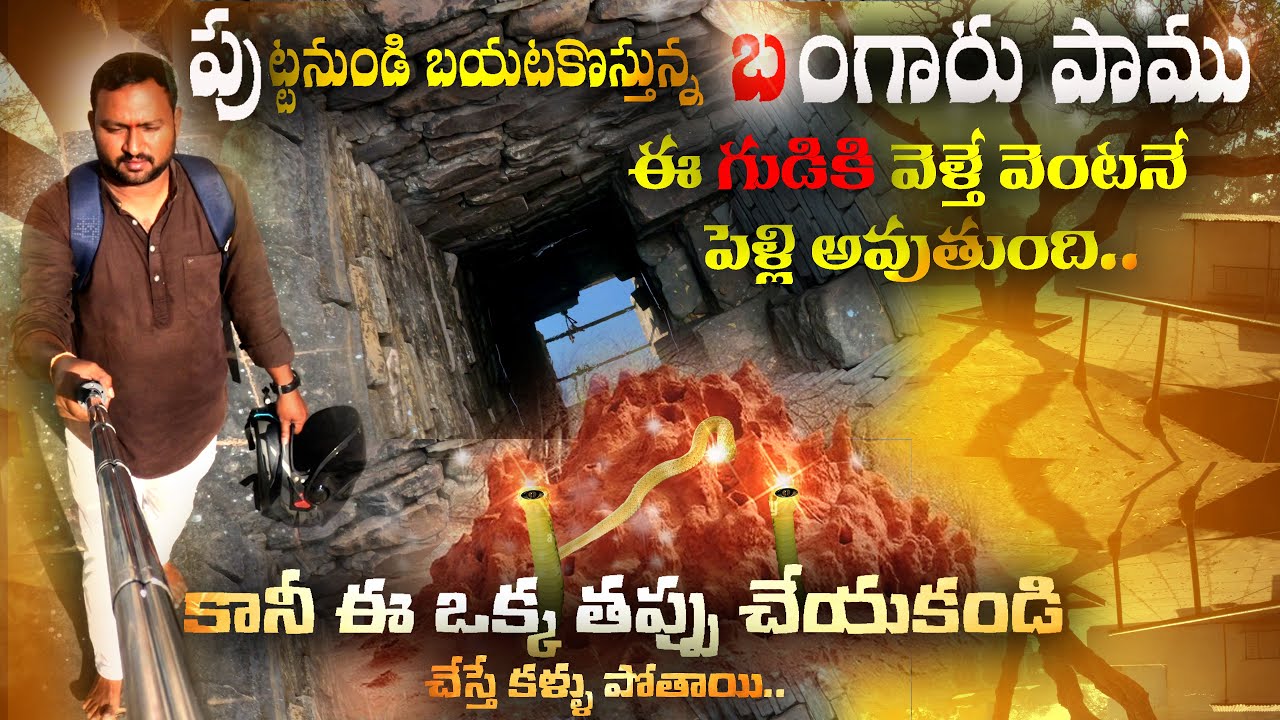ఈ గుడికి ఈ టైం లో అసలు వెళ్ళకండి | Puttalamma Thalli Temple in Allagadda