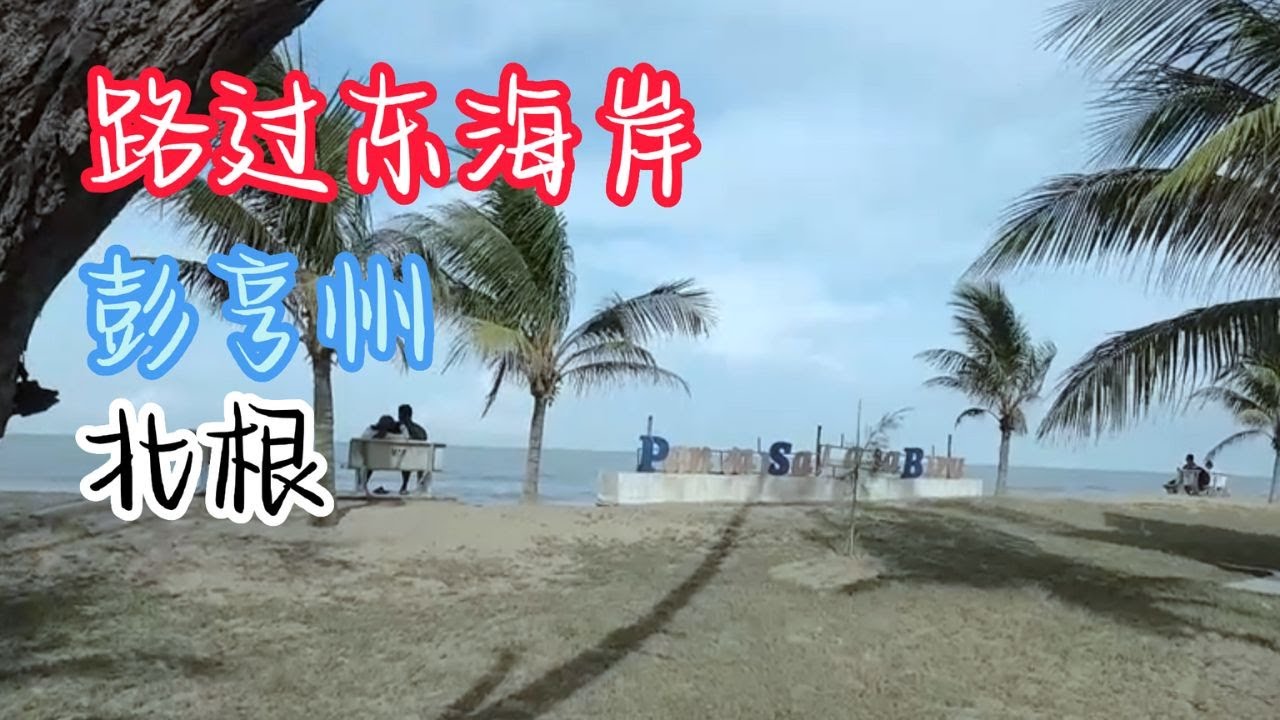 #北根