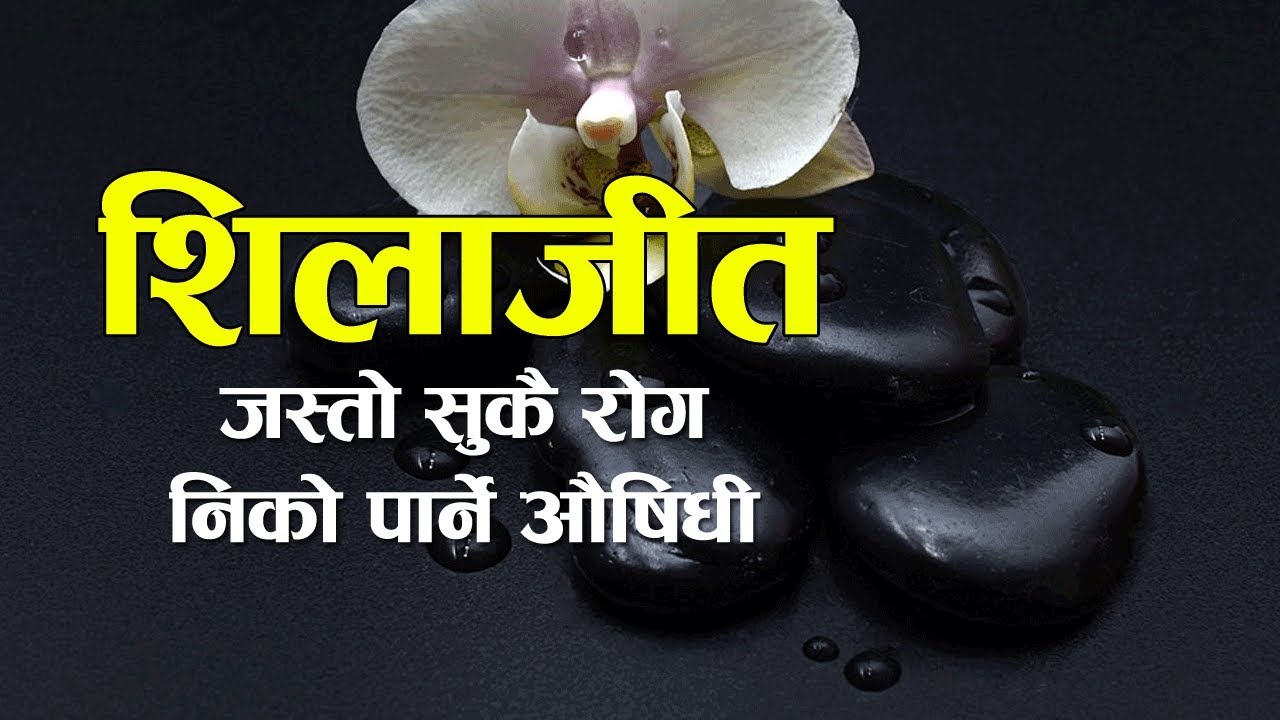 जस्तो सुकै रोग सदाका लागि निको पार्ने औषिधी शिलाजीत ! | Nepali Health Tips