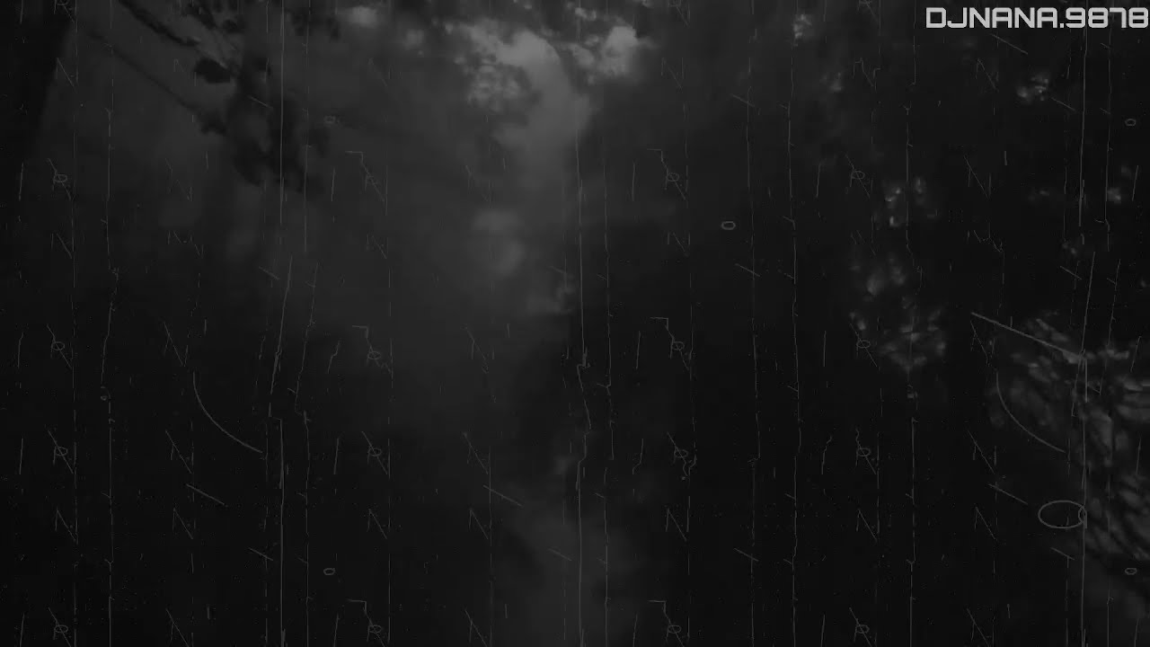 Dark Forest Drive Set