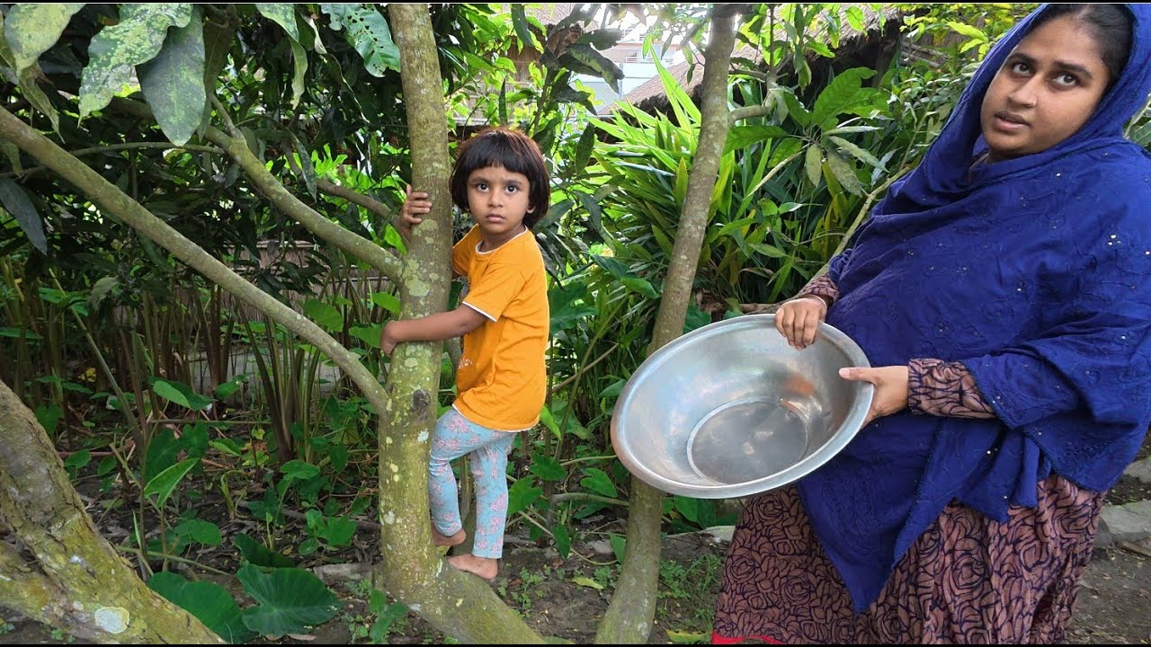 গাছের বেশীরভাগ আম চুরি হয়ে গেছে | Doyel Agro