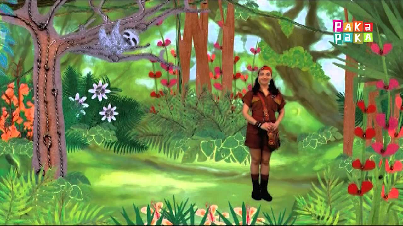 Animapaka II: Perezoso (Cap. 22) - Canal Pakapaka