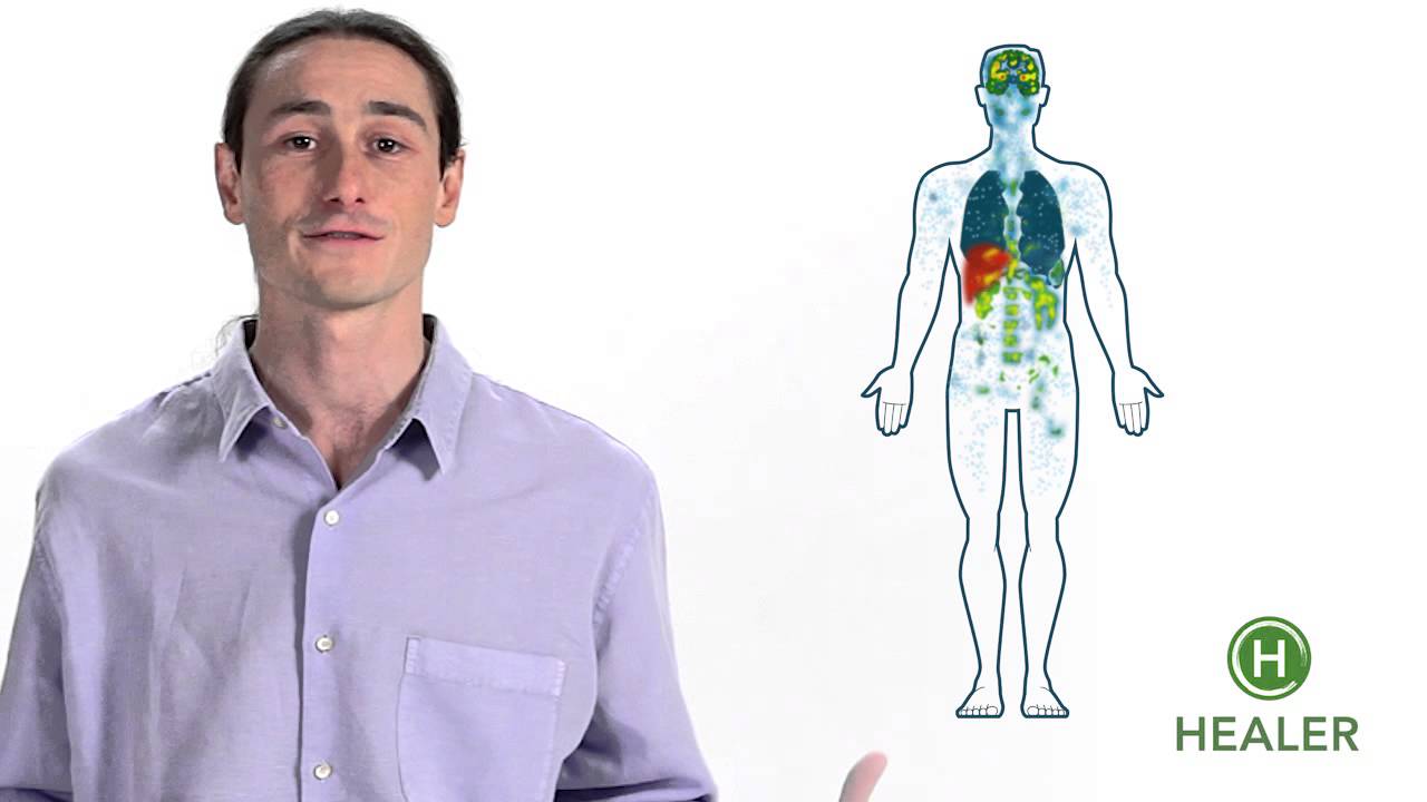 Your Endocannabinoid System Explained