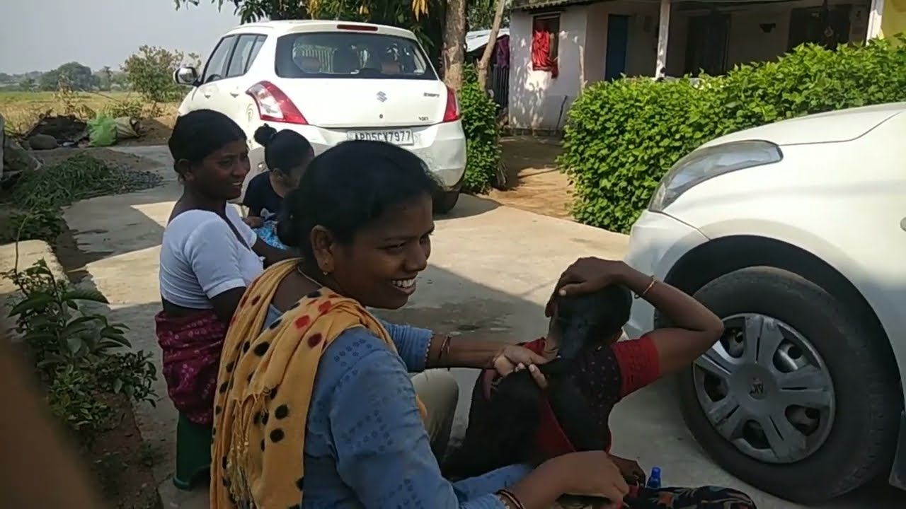 how to check lice on long hair in village@nitpicking