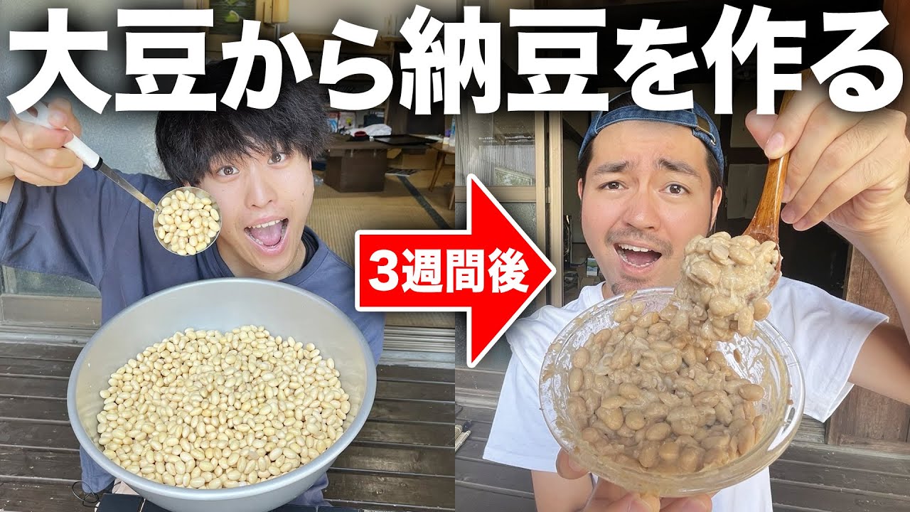 【発酵】完成まで3週間！大豆を発酵させて1からネバネバ納豆作りに挑戦したら予想以上に大変&激ウマだった！！！