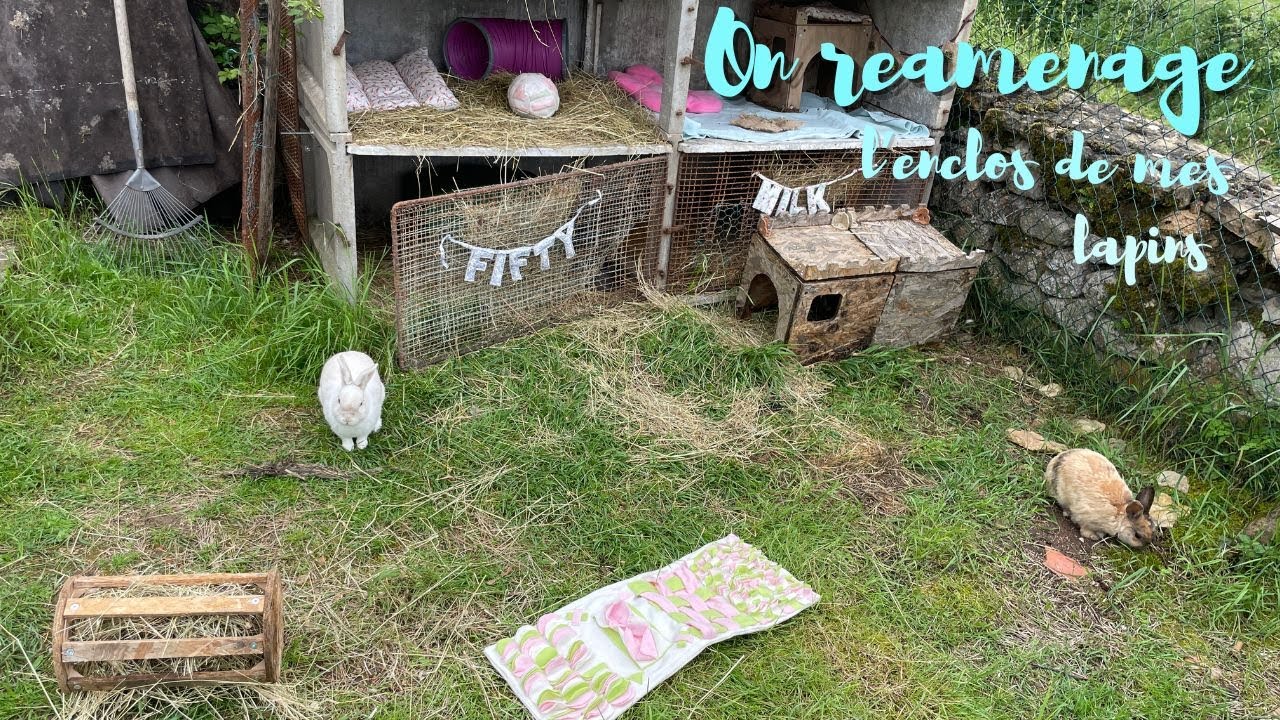 avant/ après je refait l'enclos de mes lapins