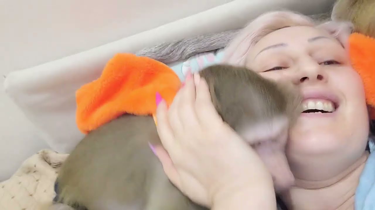 Если вам скучно, вам грустно , посмотрите на Ники и Луну, настроение улучшится 😁