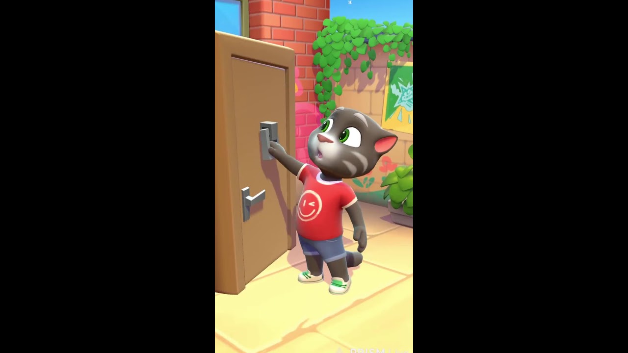 talking tom live fun