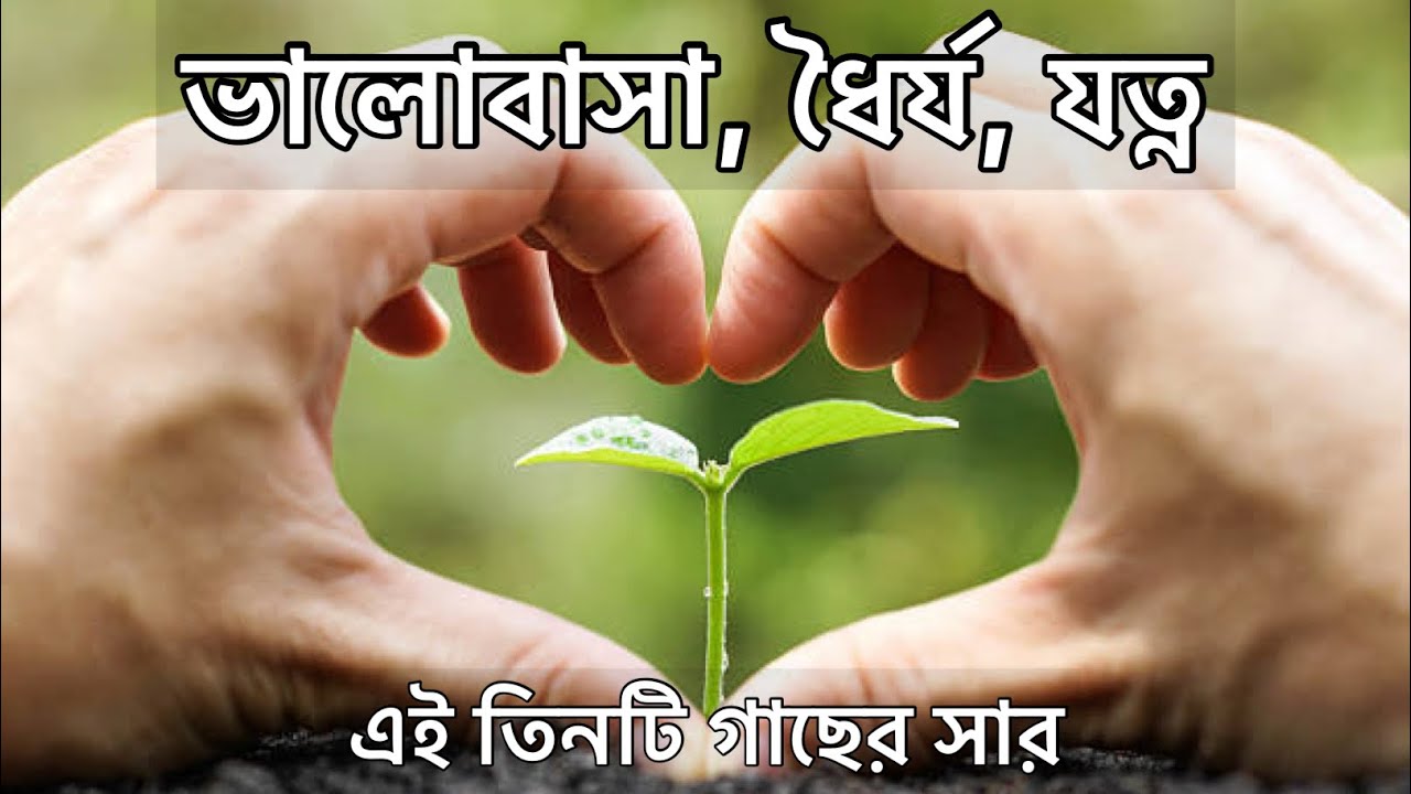 বাগান হবে দেখার মতো যদি থাকে এই তিনটি সার । Gardening Tips & Tricks | Indoor Gardening | house plant