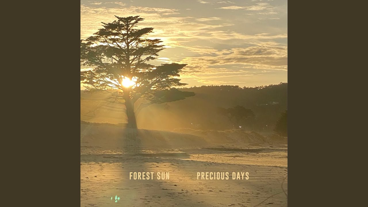 Precious Days