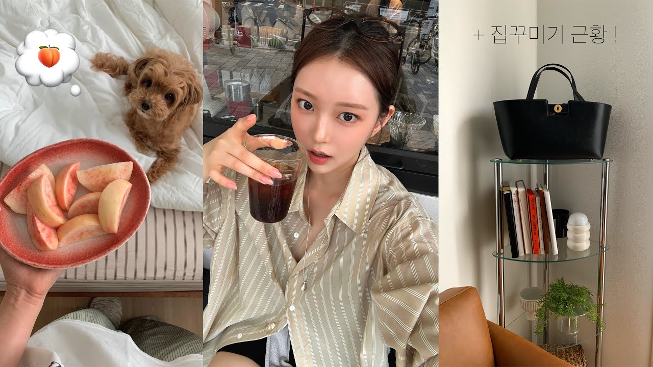 집순이의 여름 나기 일상 모음zip🌀 밀린 집 청소와 인테리어, 만족스런 눈밑지 리터치ㅣ쉴 틈 없이 먹고 베리와 다녀온 여름휴가 🏝️