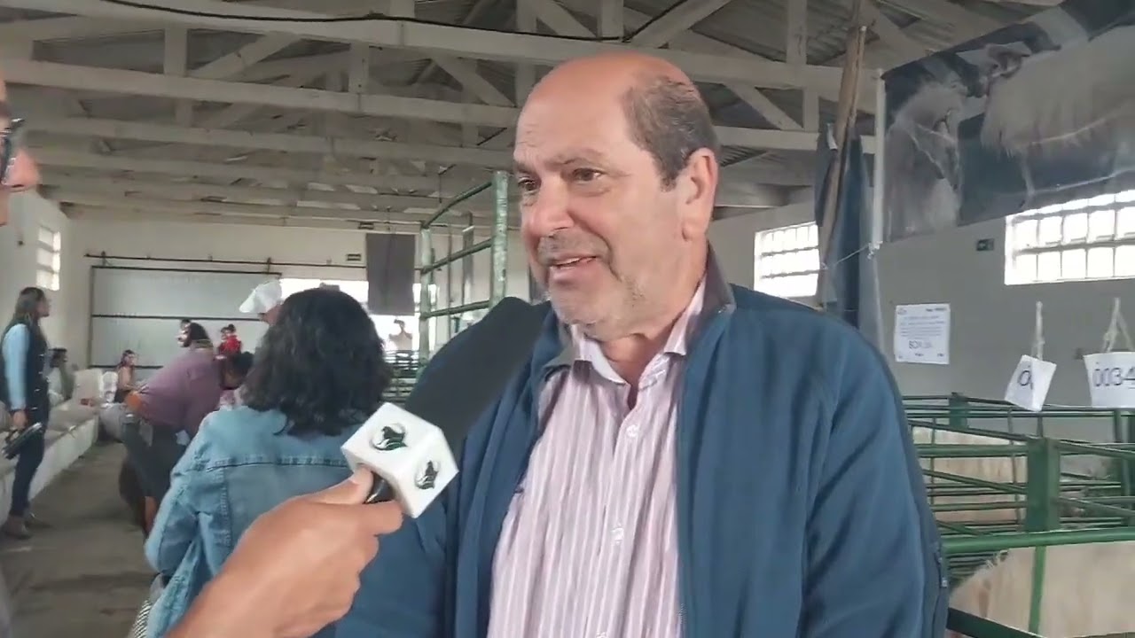 7ª Nacional dos Ovinos Crioulos é realizada em Canguçu.