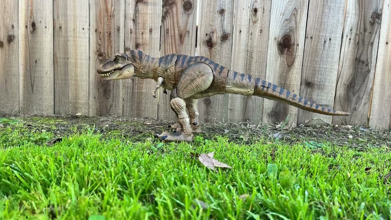 stop motion test 1