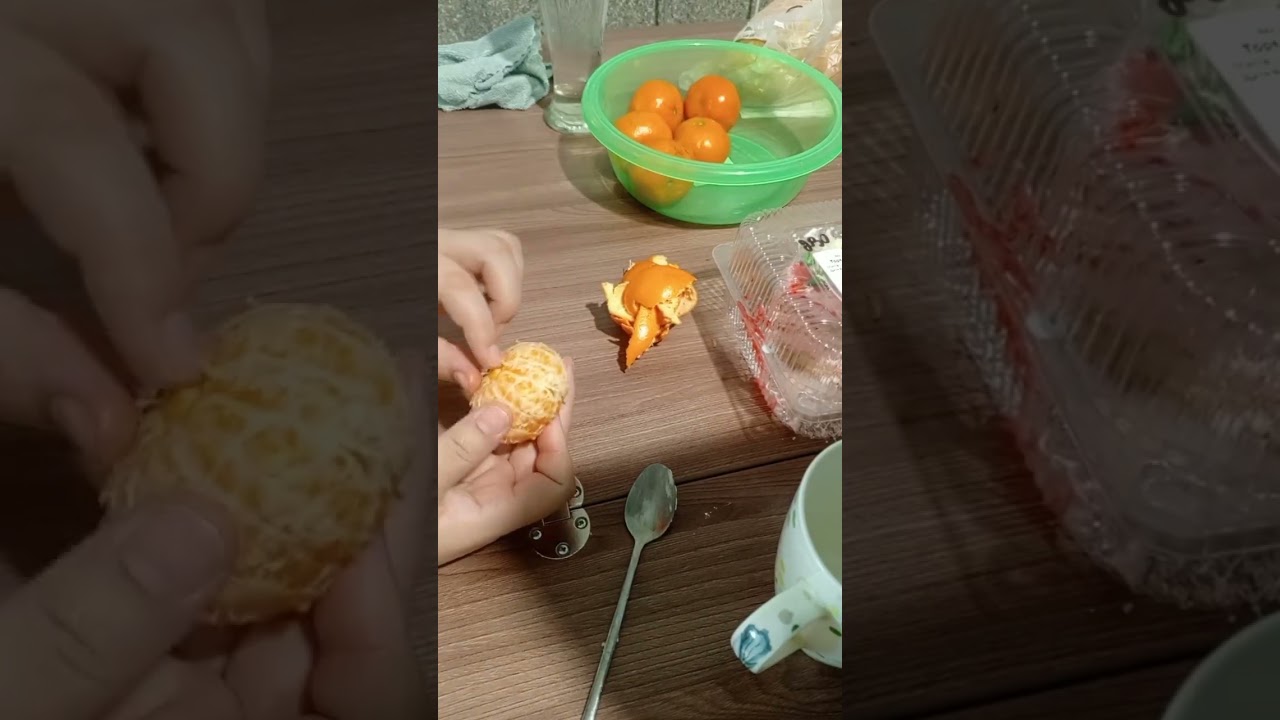 Сегодня 14 февраля 🫠 / окаменелые гиганты / обман НАСА
