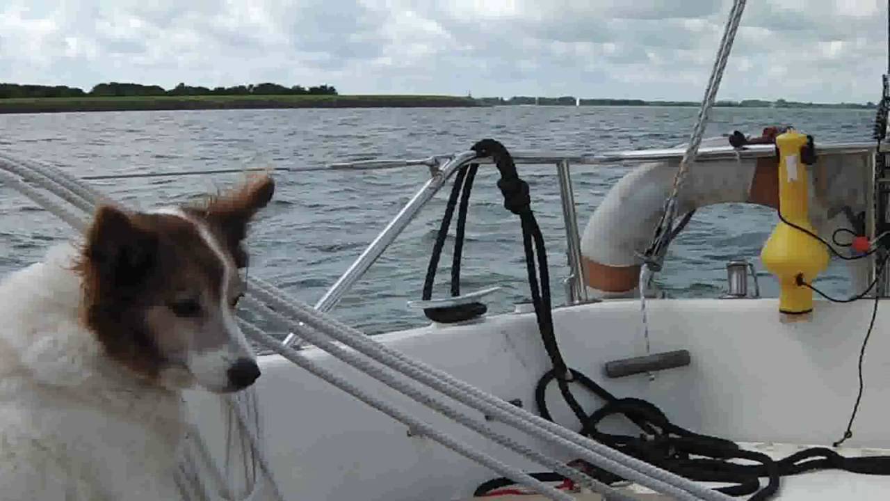 4 dagen zeilen 7 2016 Marker/Ijsselmeer