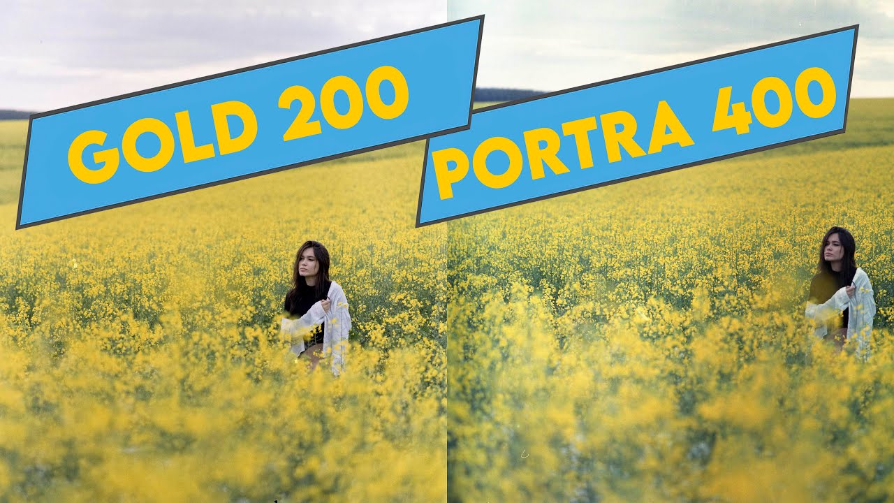 Comparando Kodak Gold 200 com Portra 400