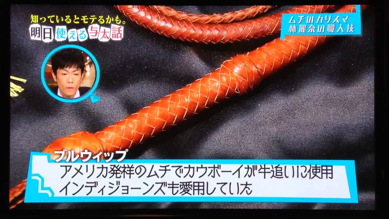 スポーツウィップ 12.03.2014