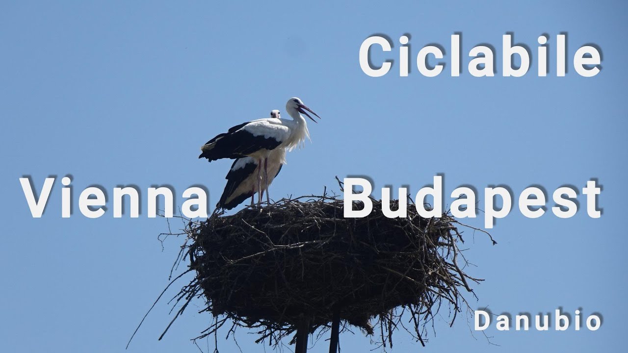 BicIdee-Ciclabile del Danubio Vienna-Budapest - Donauradweg