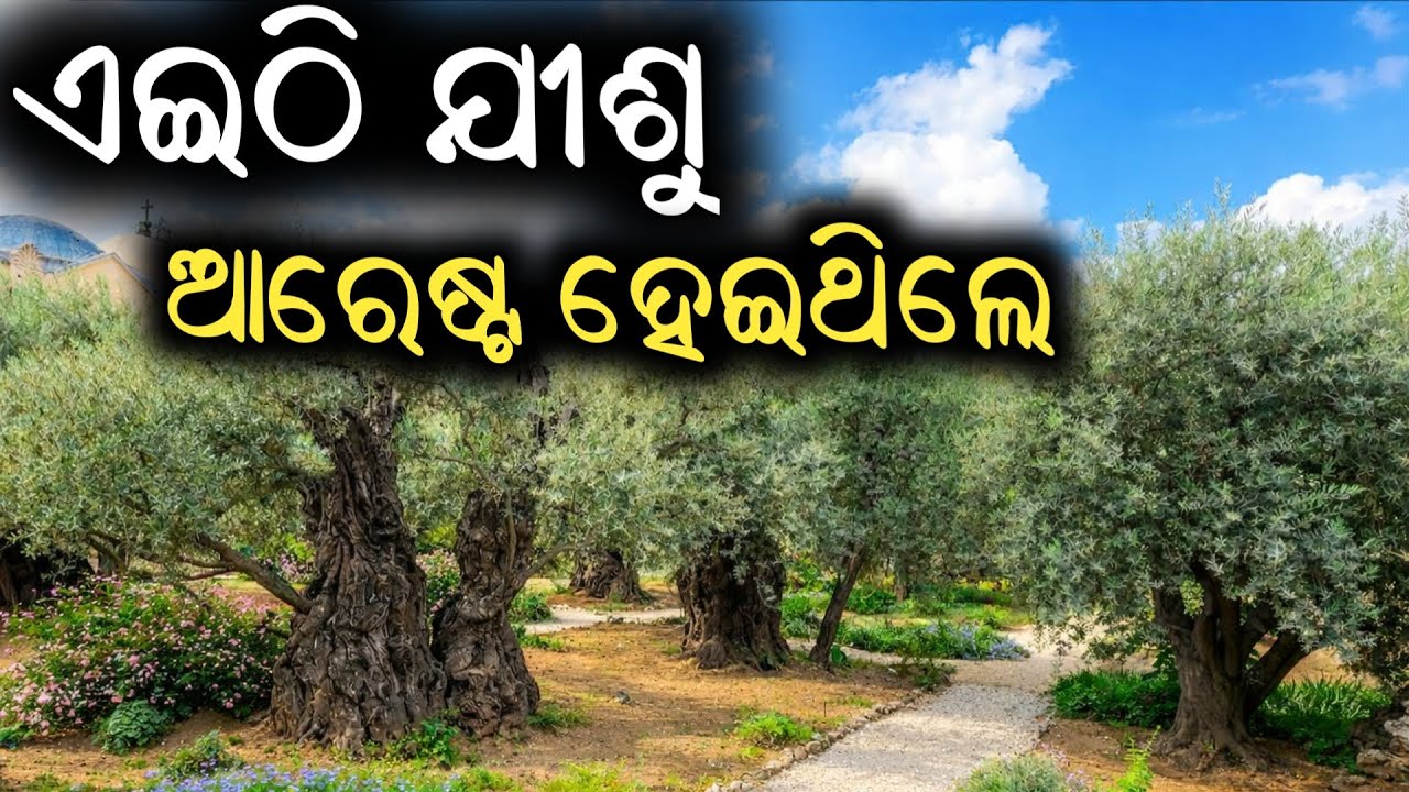 Ethi Jisu | Arest Hei Thile