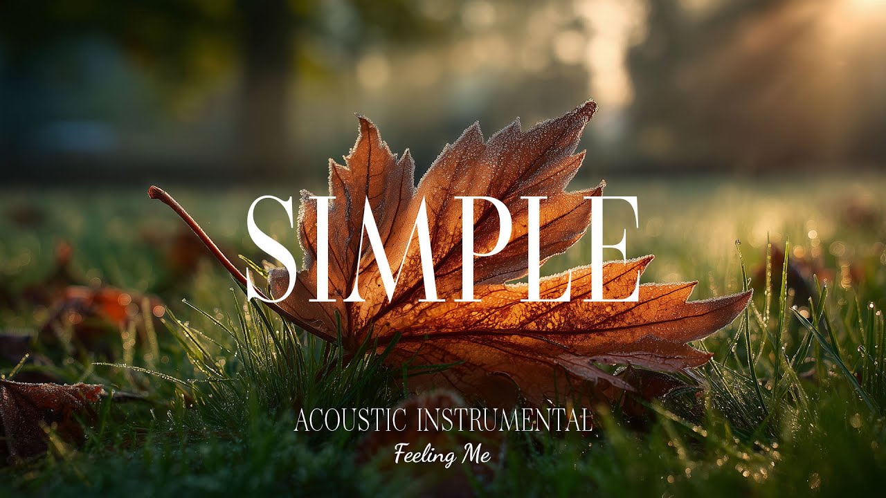 Simplicity Brings Peace 🌱 Acoustic Guitar for Relaxation and Healing | FEELING ME