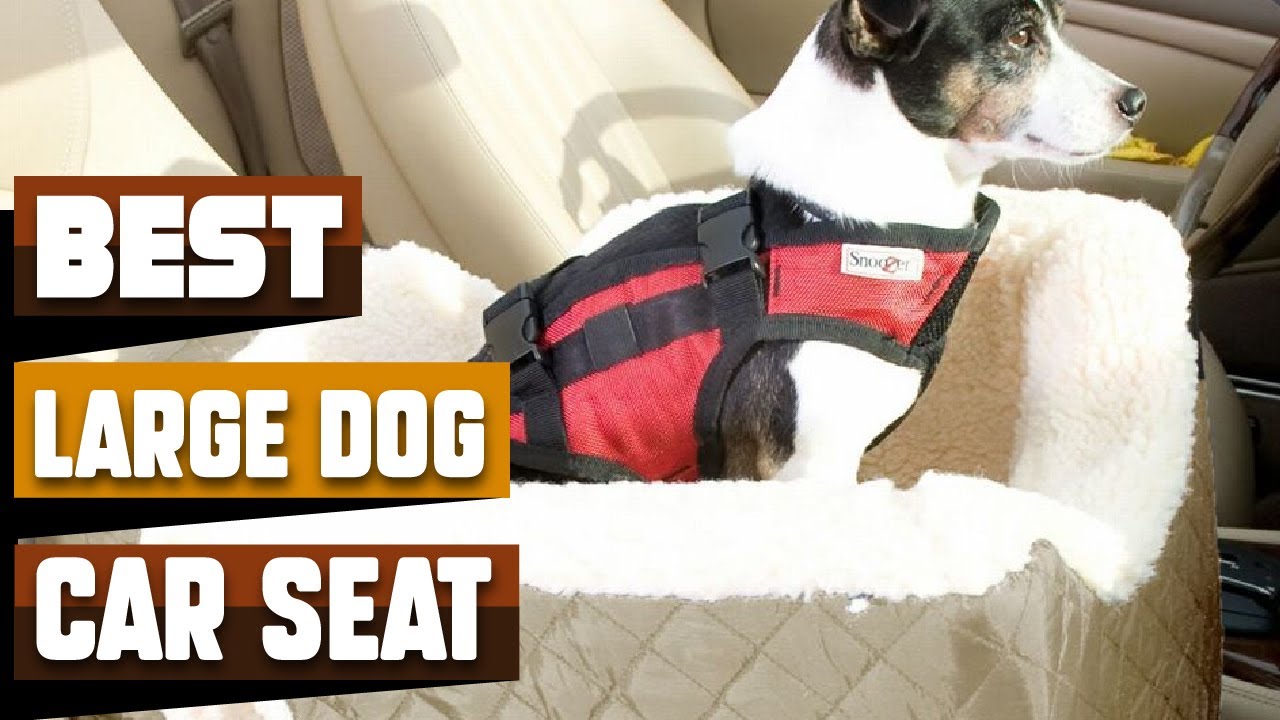 Best Large Dog Car Seats In 2026 - Top 10 Large Dog Car Seats Review