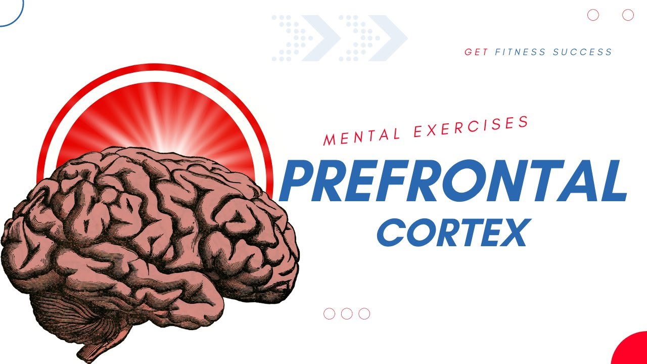 Prefrontal Cortex Exercises for Healing and Better Function