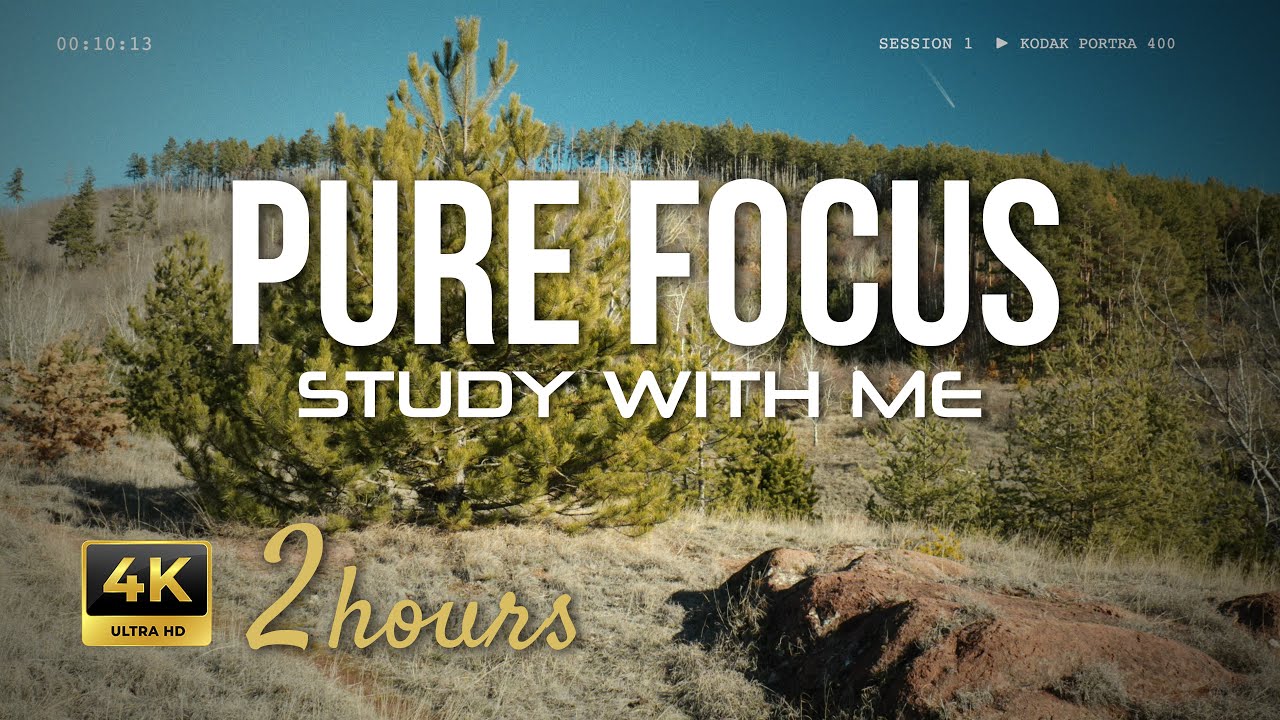 2 Hour Study With Me | Pomodoro Timer (25/5) | Retro Film Nature