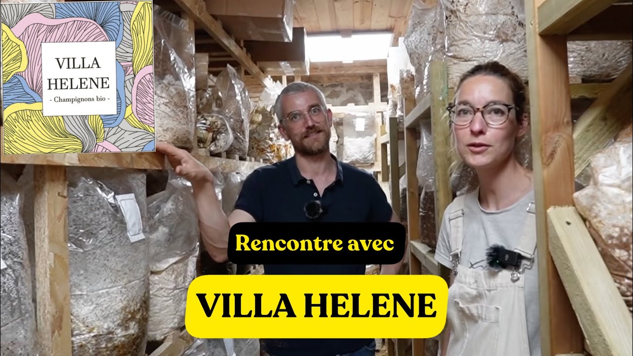RENCONTRE AVEC VILLA HÉLÈNE - Myciculteurs en Haute Vienne [Révolution Mycologique E5]