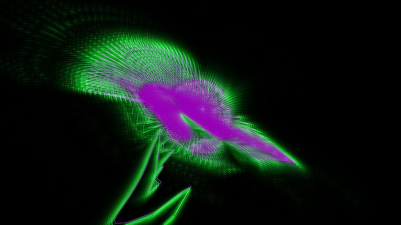 MusicVisualizer Alex Banks Lights