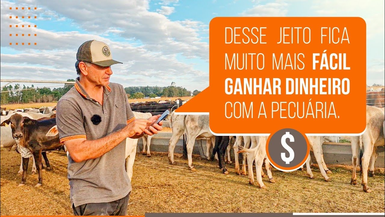 DESSE JEITO FICA MUITO FÁCIL GANHAR DINHEIRO COM A PECUÁRIA