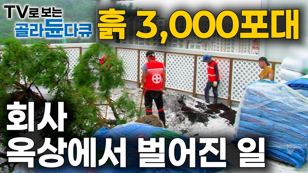 드디어 우리 회사도 생겼다. 어느 날 흙 3,000포대 배달 오길래 회사 옥상에 올라가봤더니｜옥상 정원 만드는 과정｜극한직업｜#골라듄다큐