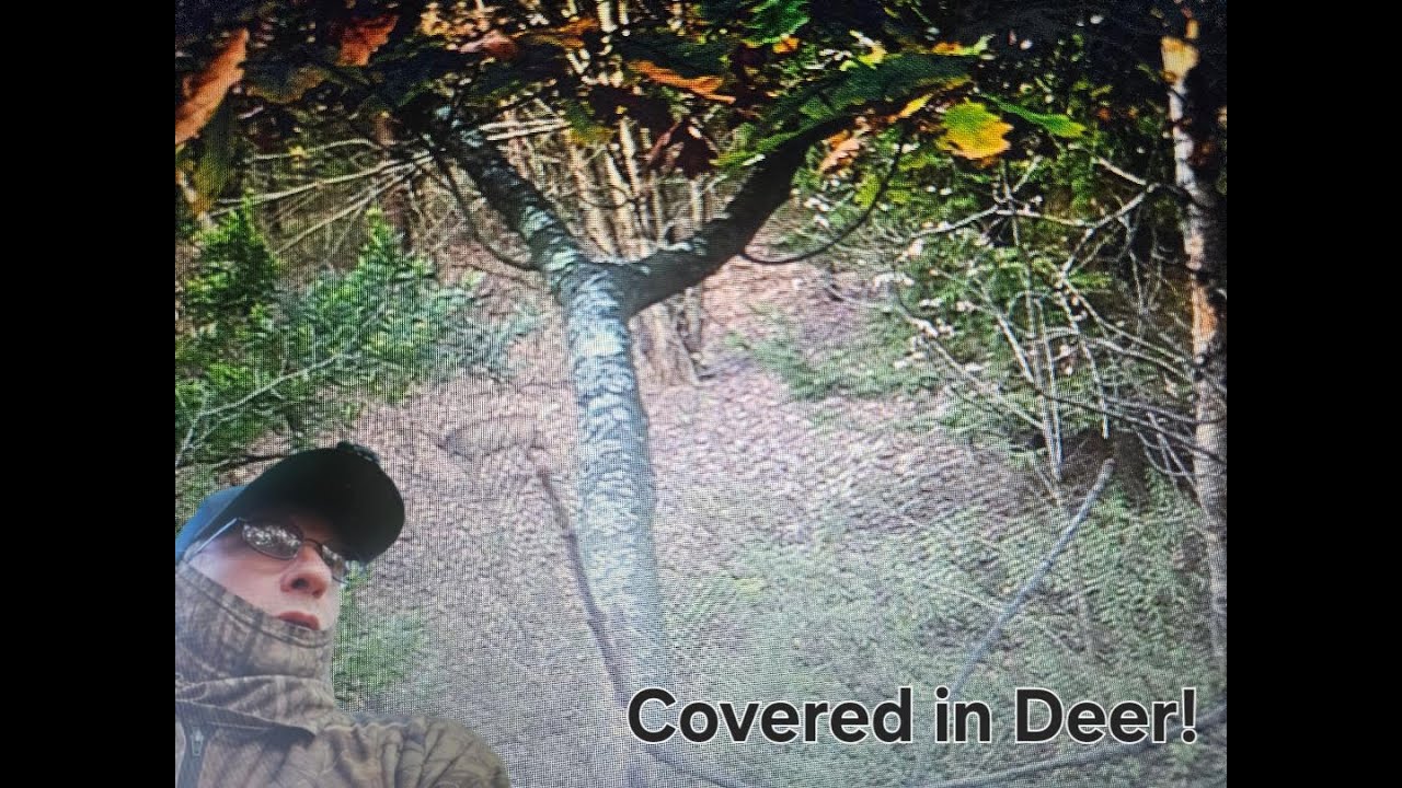 PA Archery | Great Hunt | 2 Shooters Spotted