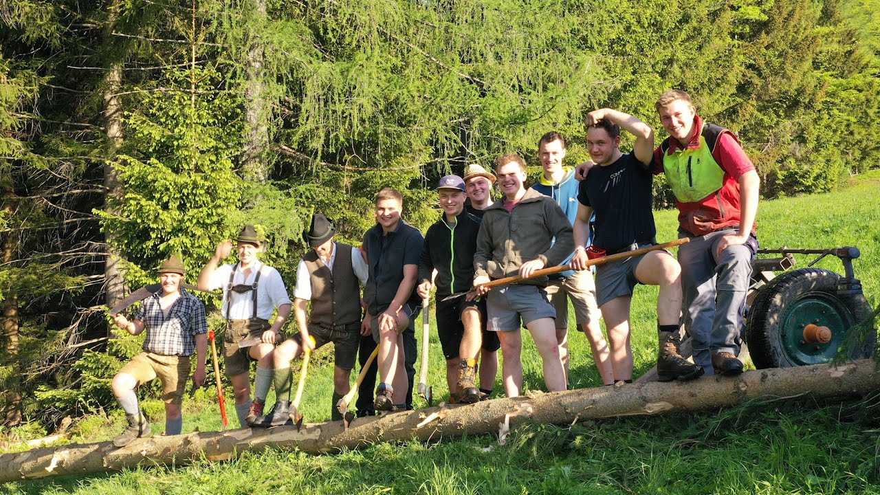 Maibaumaufstellen der Brauchtumsgruppe St. Koloman | Grundlbichlalm | Traditionelle Baumfällung