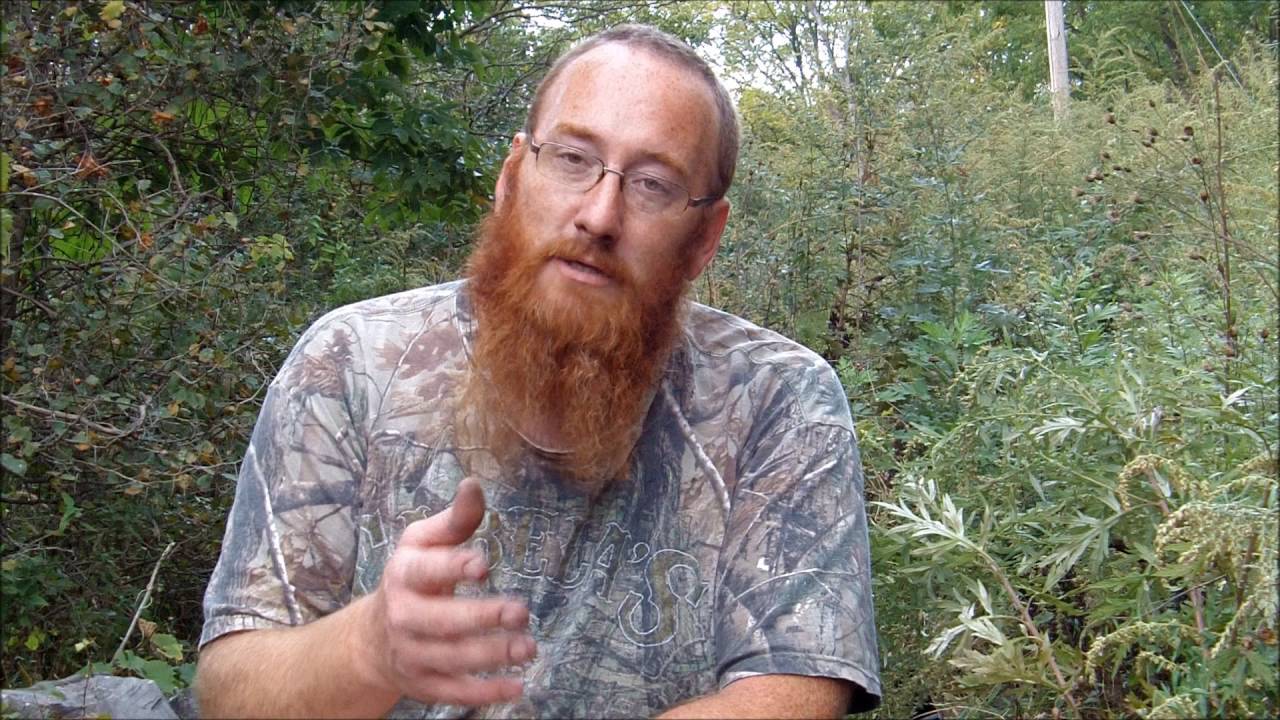 Episode 75   Wild Medicinal Plants Common Ragweed