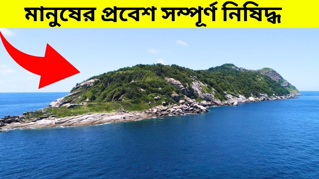 ১ কোটি টাকা দিলেও কি আপনি এখানে যাবেন? ব্রাজিলের নিষিদ্ধ সাপের দ্বীপে!