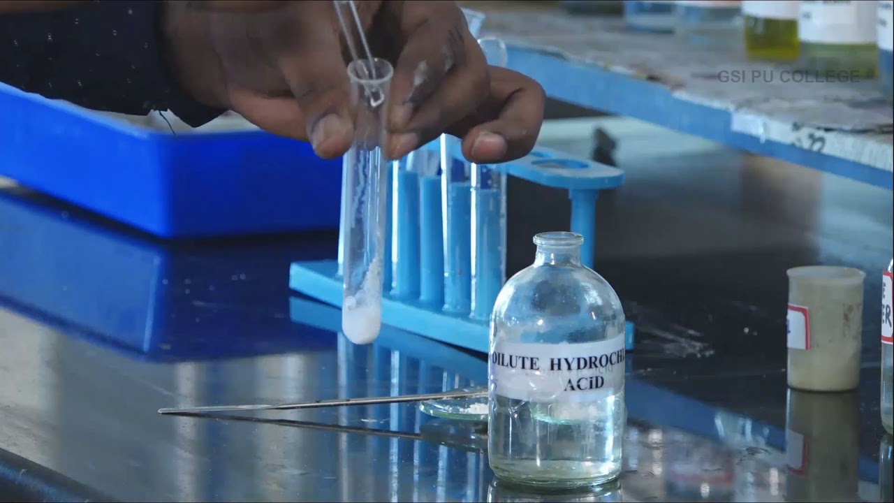 CHEMISTRY | 1st PUC | LABORATORY | SALT ANALYSIS - SALT 01 - CALCIUM CARBONATE | EXP 04