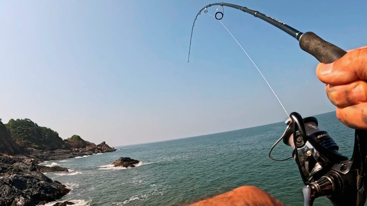 Fishing on the Ledge for a multi species Catch / Mackerel, Trevally and a Barramundi Fail