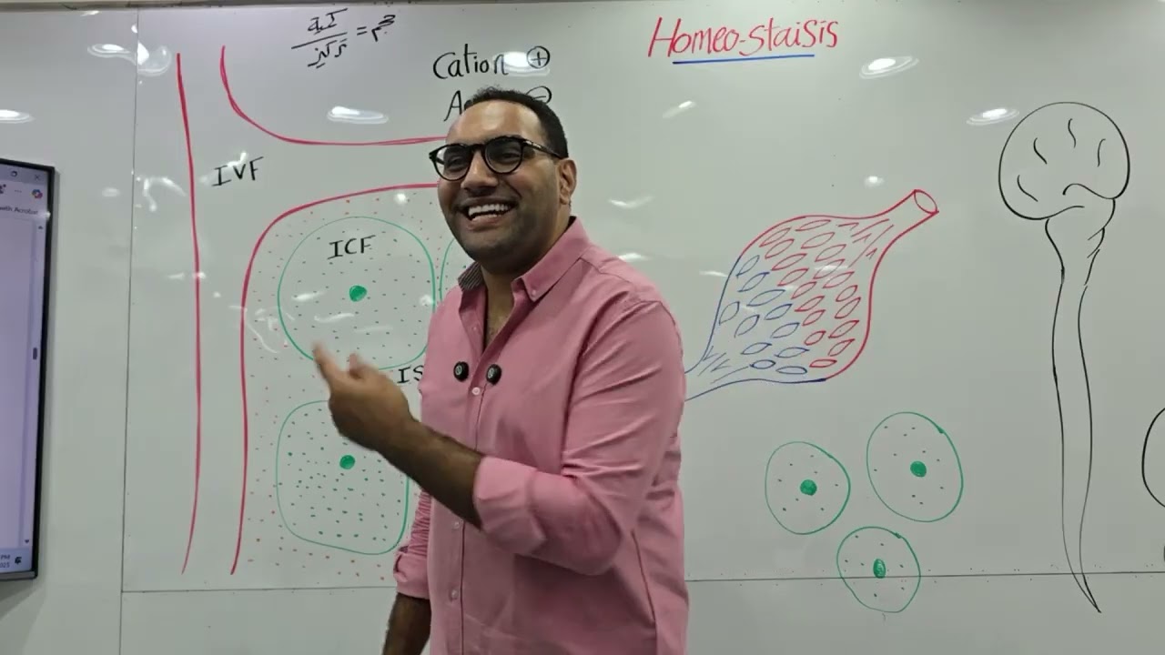 Physiology lecture-2 Kasr Alainy by dr. Elsherif 2025