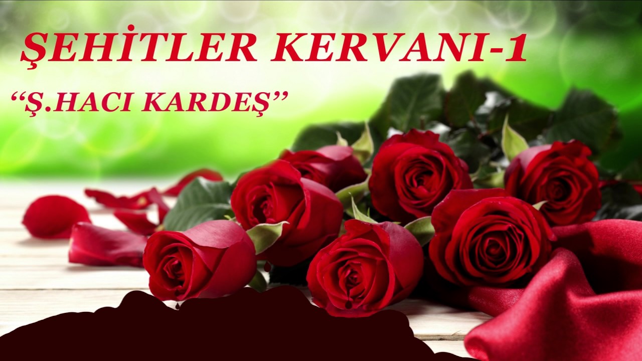 ŞEHİTLER KERVANI 1 - HACI KARDEŞ