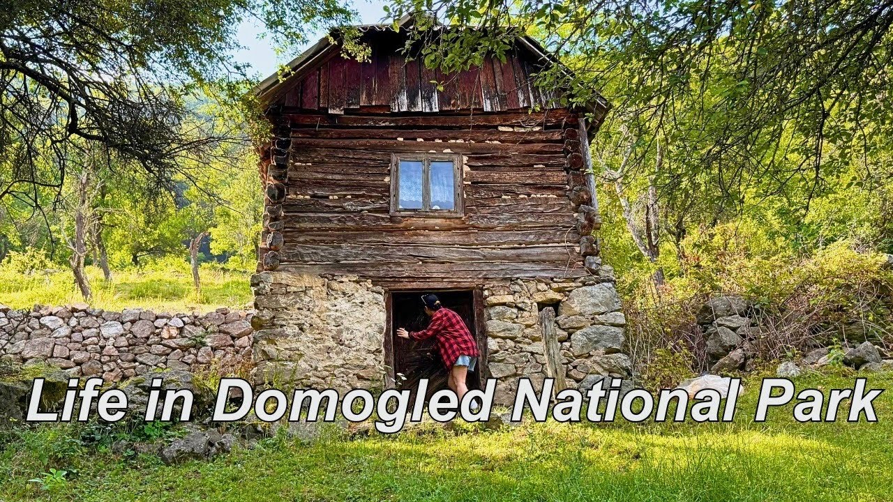 Remote Life in ROMANIA, Restoring a 107-Year-Old Mountain Cabin, Off Grid, Day 2