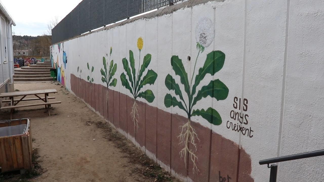 Portes obertes 2024