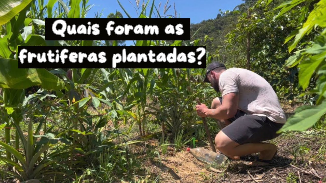 Qual frutífera devo colocar nesse pomar?? – Chácara do Zero