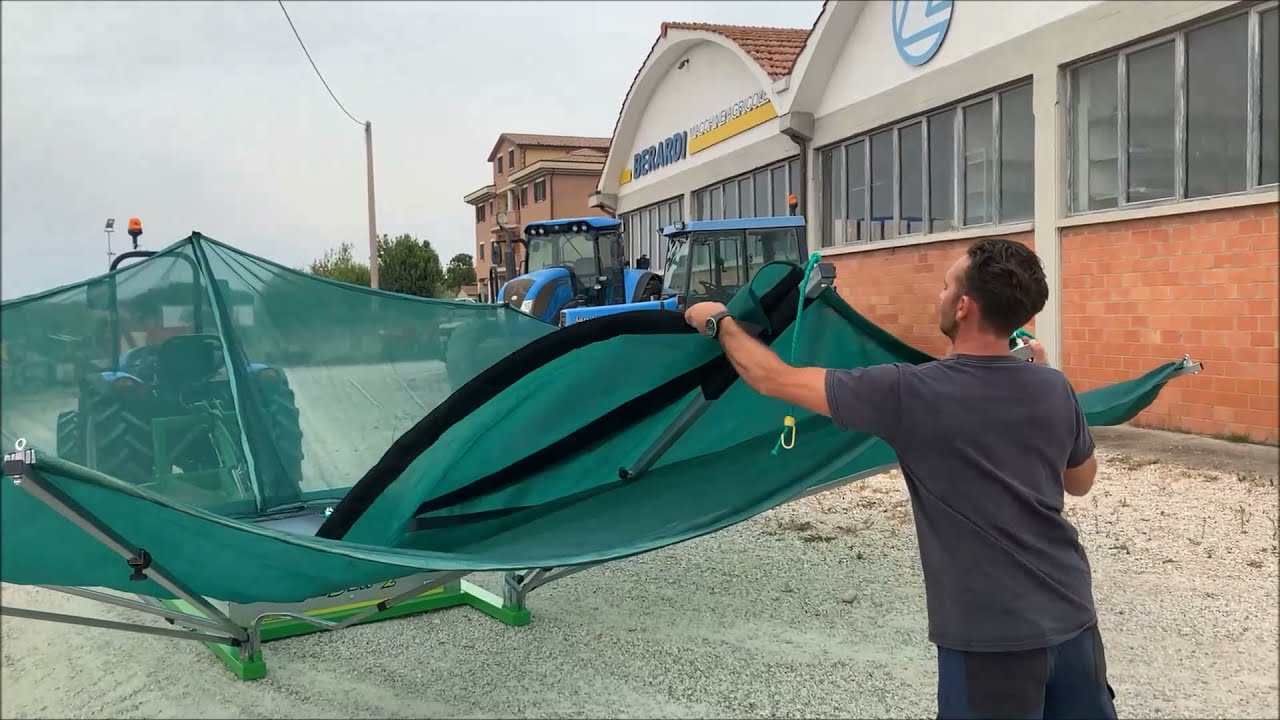 NOVITA' 2021 OMBRELLO RACCOLTA OLIVE OLIBER 2