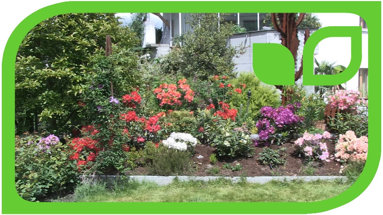 Die Architektur eines Moorbeets