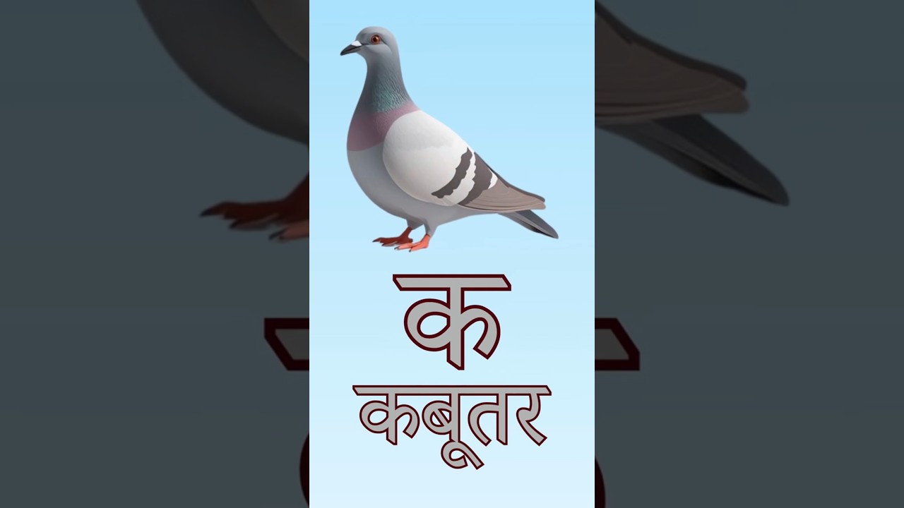 Hindi Vyanjan | हिंदी व्यंजन (क&ndash;ज्ञ) | Learn Hindi Consonants for Kids