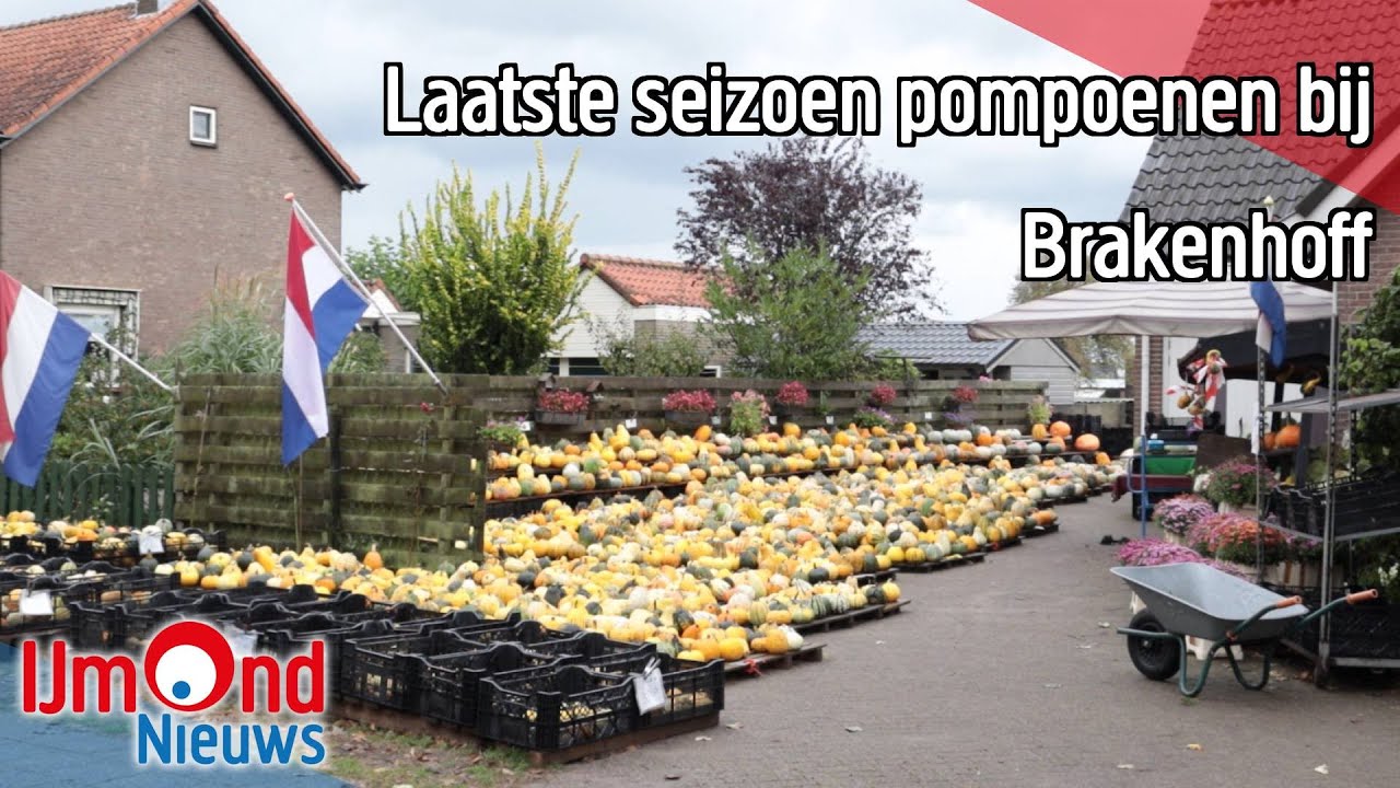 Laatste seizoen pompoenen bij Brakenhoff